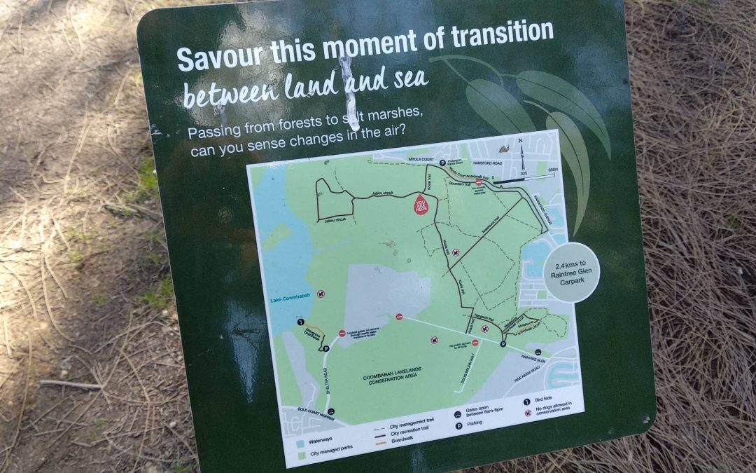 Grey Wolf Hike Around Coombabah Lakelands