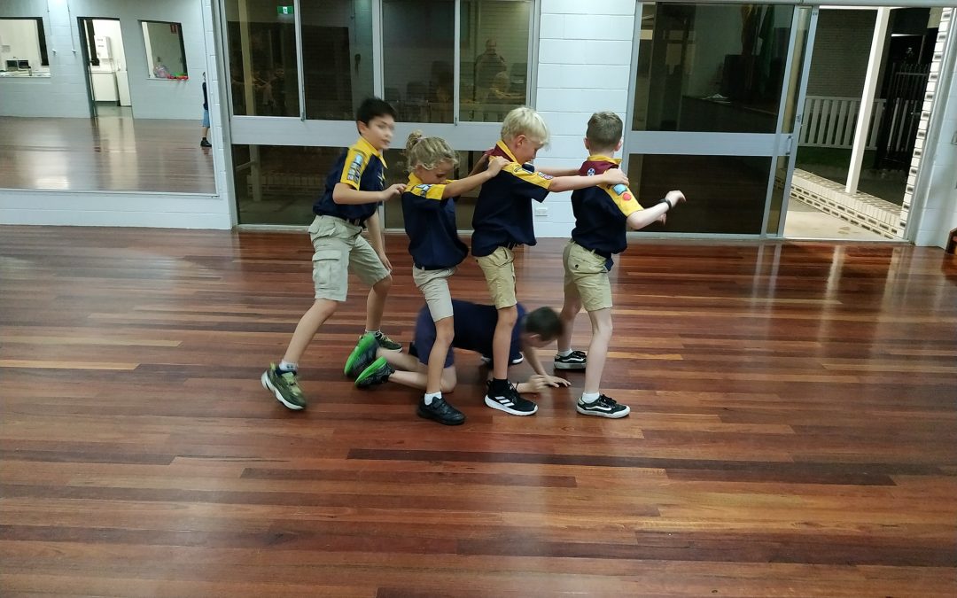 Cub Scouts Return for 2020