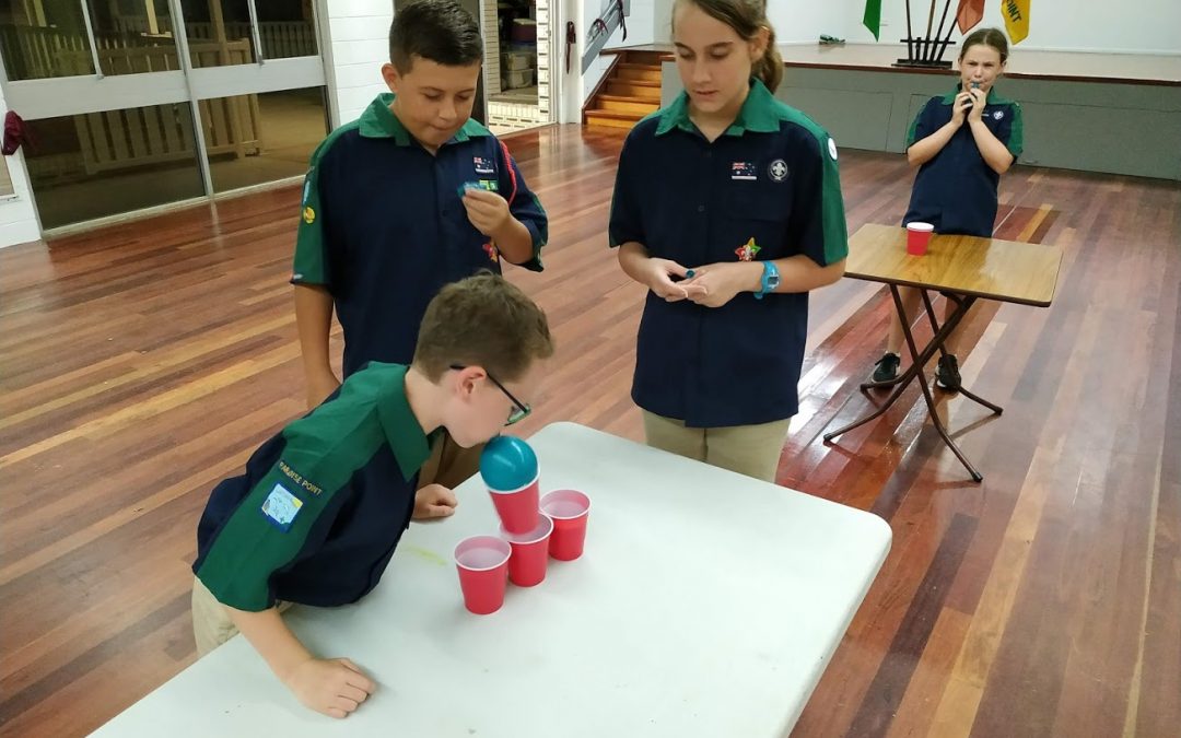 Scouts First Night 2020